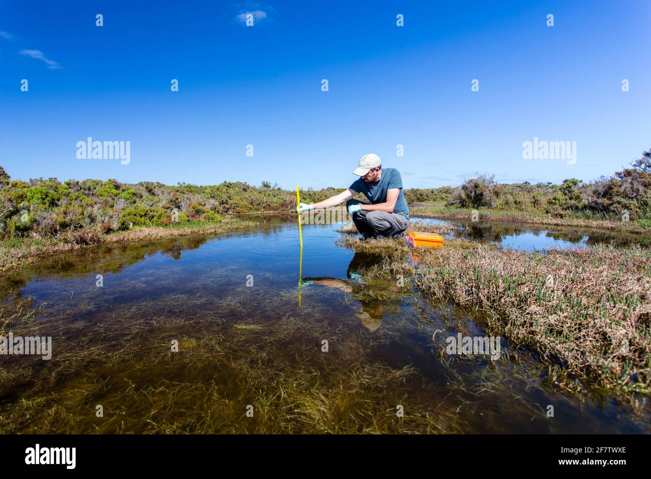 Scienziato che misura i parametri ambientali di qualità dell'acqua in una zona umida. Foto Stock