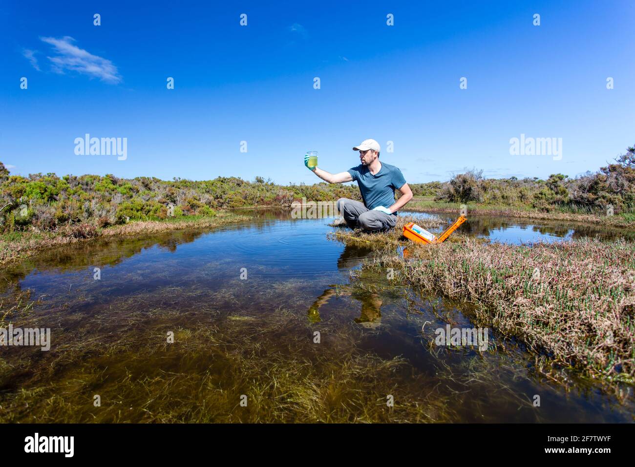 Scienziato che misura i parametri ambientali di qualità dell'acqua in una zona umida. Foto Stock