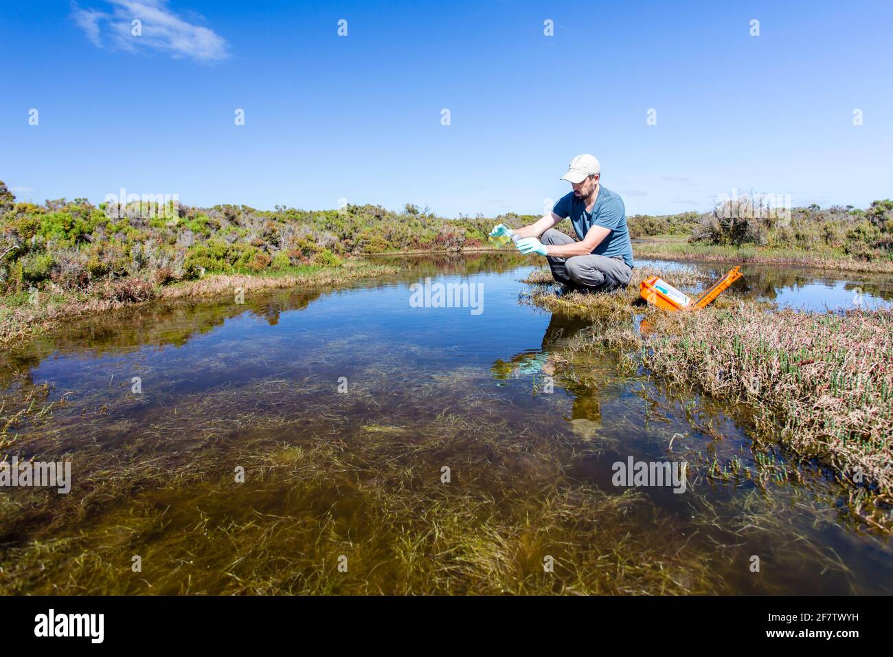 Scienziato che misura i parametri ambientali di qualità dell'acqua in una zona umida. Foto Stock