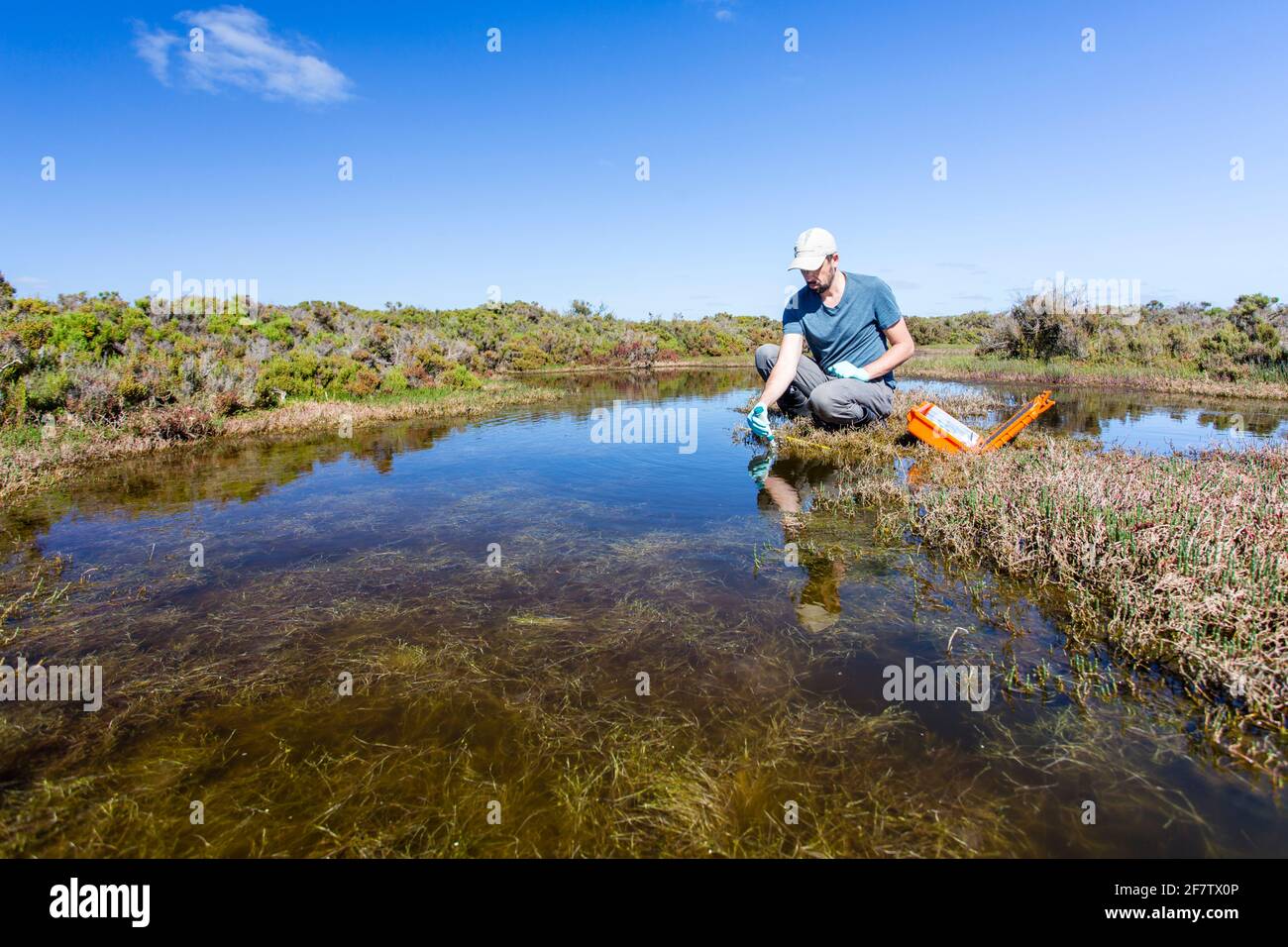 Scienziato che misura i parametri ambientali di qualità dell'acqua in una zona umida. Foto Stock