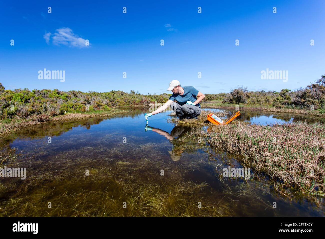 Scienziato che misura i parametri ambientali di qualità dell'acqua in una zona umida. Foto Stock
