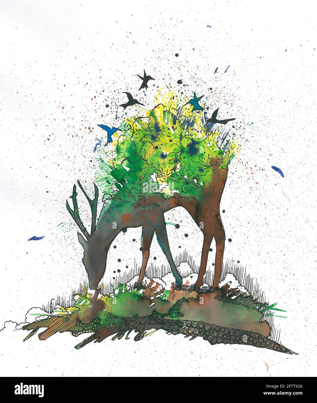 cervo antilope illustrazione celva giungla e foresta guardare natura e uccelli muschio profumo su erba maschio adulto celibe per la pubblicità e la stampa su maglietta disegnata Foto Stock