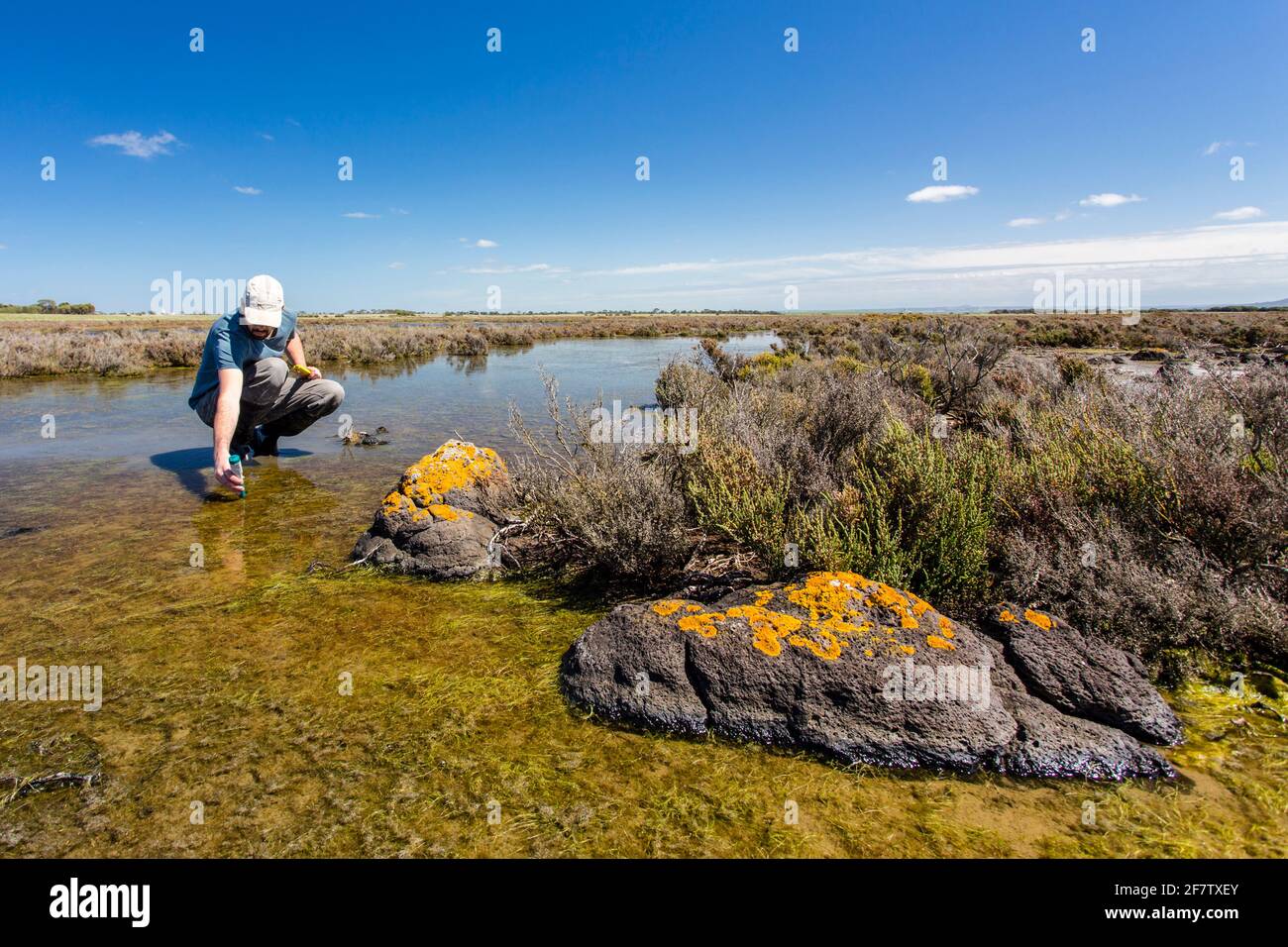 Scienziato che misura i parametri ambientali di qualità dell'acqua in una zona umida. Foto Stock