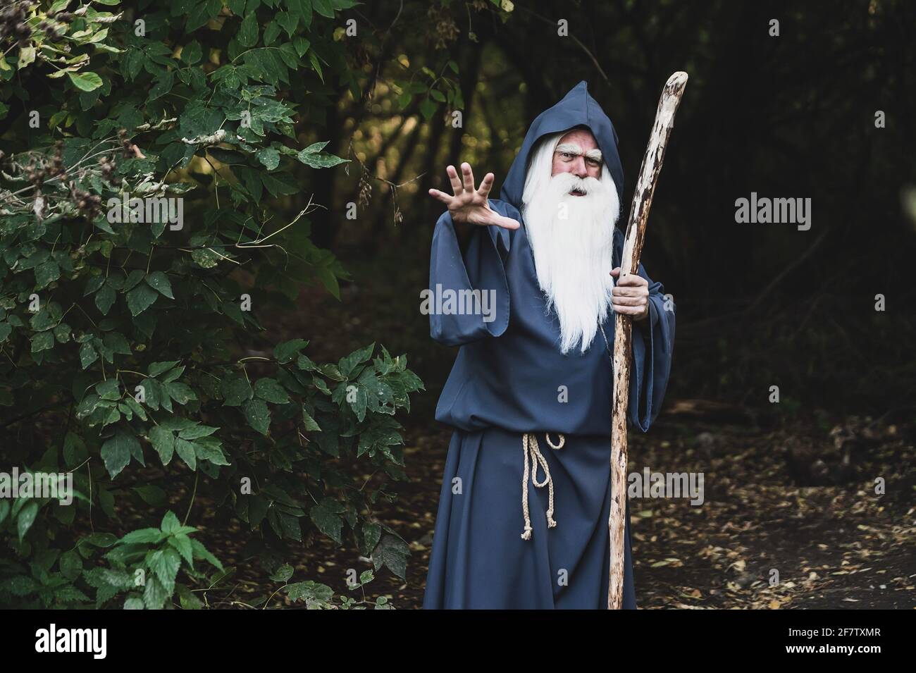 Un mago con una lunga barba grigia lancia un incantesimo in una foresta densa Foto Stock