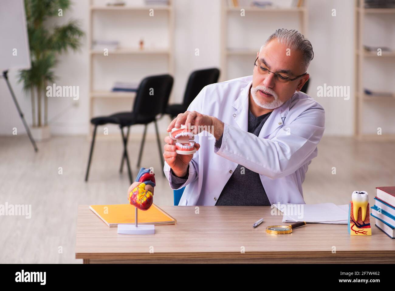 Vecchio insegnante di dentista seduto in classe Foto Stock