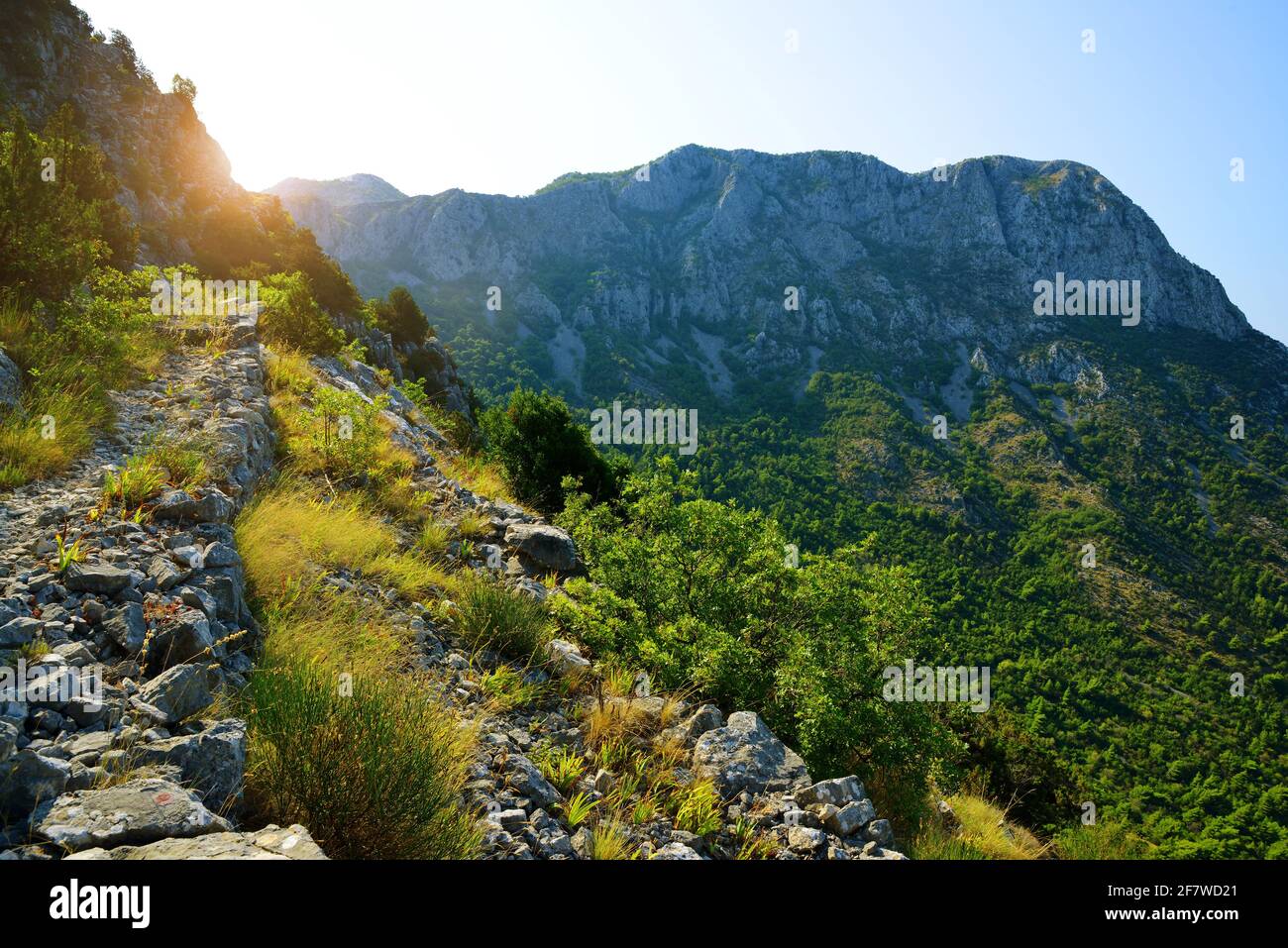 Paesaggio estivo nella montagna Rilic all'alba. Riviera Makarska, Dalmazia Meridionale, Croazia. Foto Stock