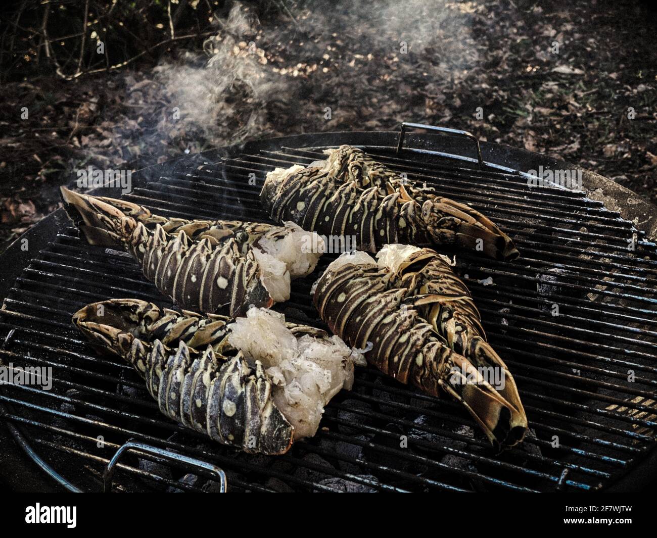 Aragoste spinose cucinate e grigliate su un barbecue in un giardino Foto Stock