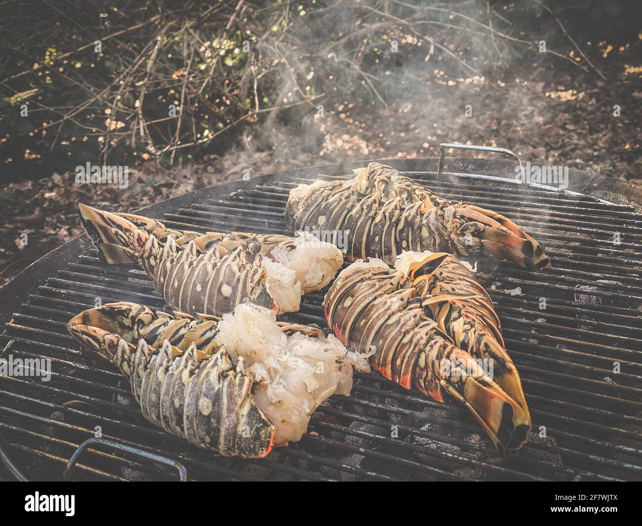 Aragoste spinose cucinate e grigliate su un barbecue in un giardino Foto Stock