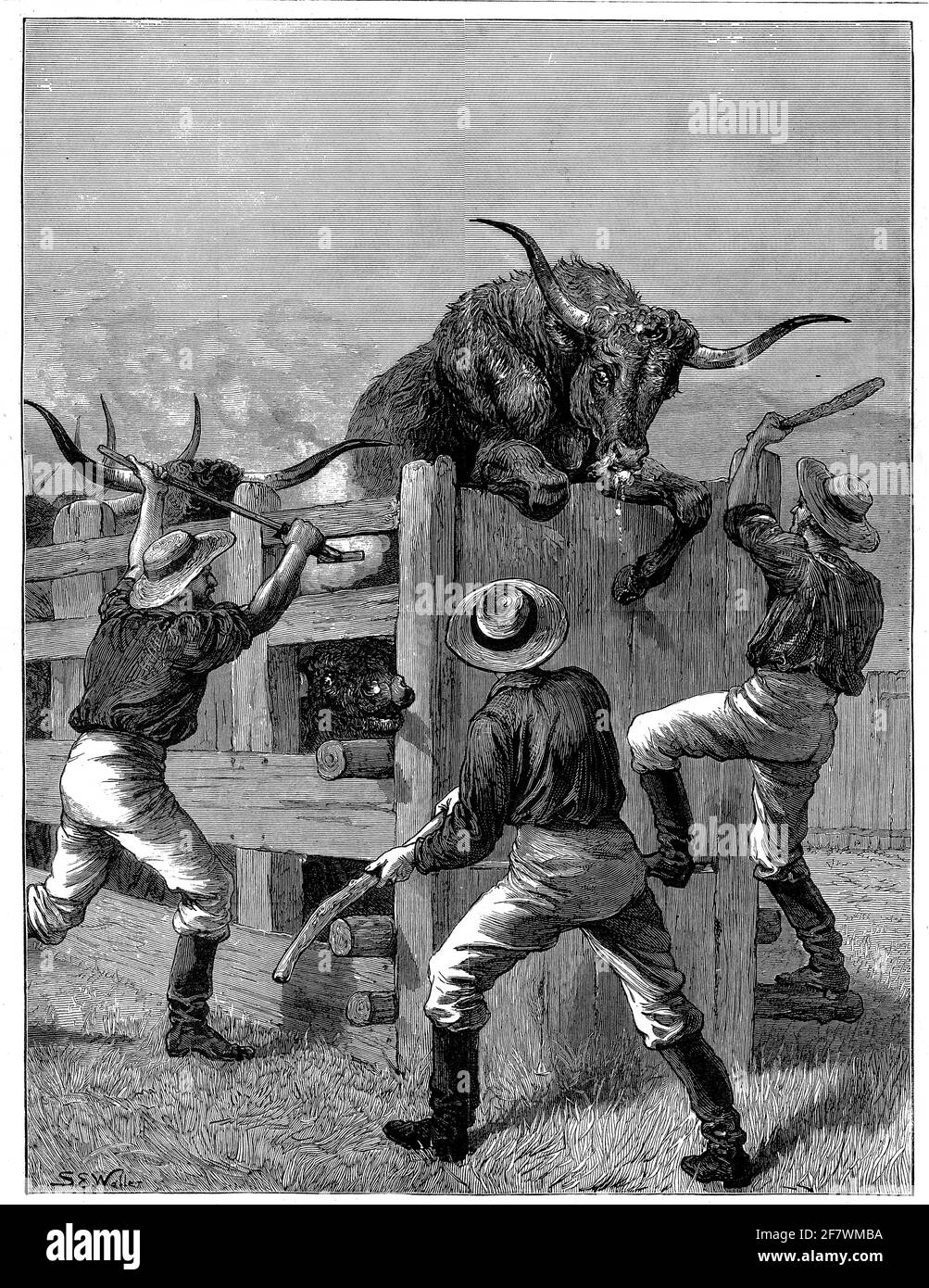 Incisione di alcuni wranglers marcando a caldo un governo sull'americano frontiera Foto Stock