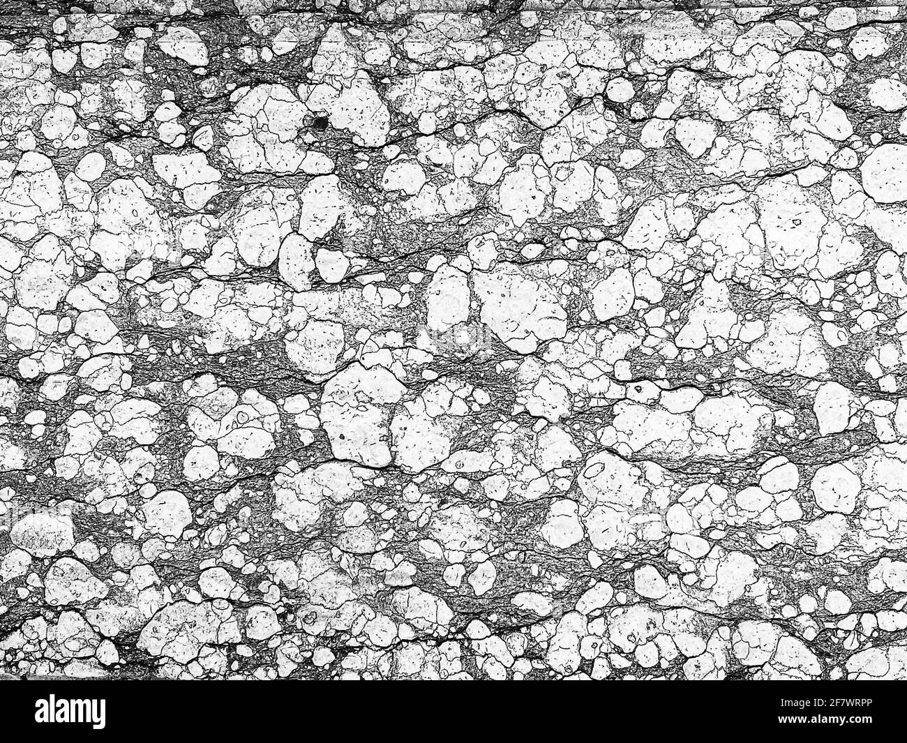 Bianco e nero superficie in marmo rosso veronese antico, Venezia, Italia Foto Stock