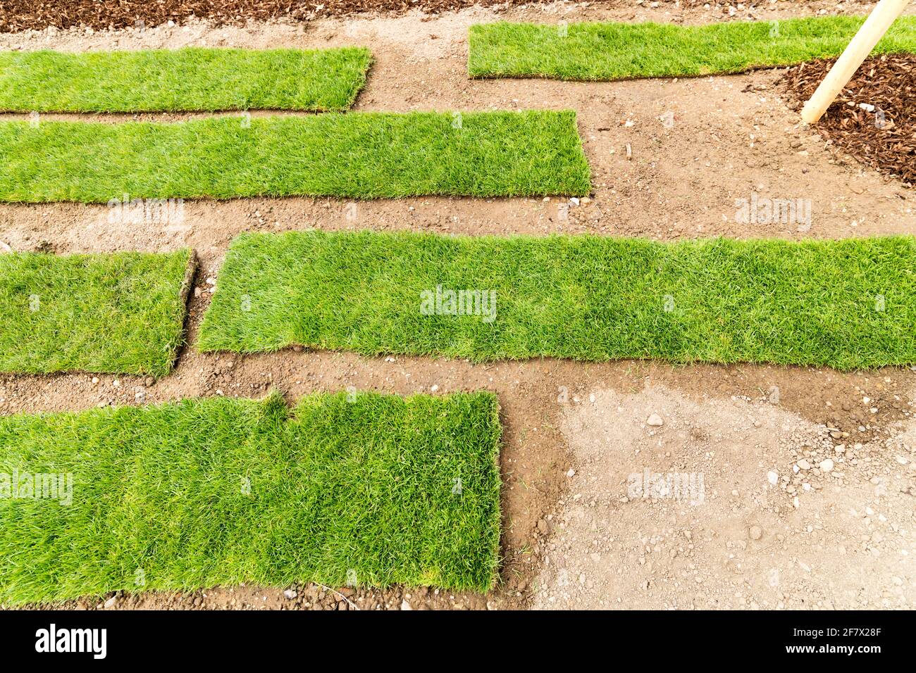 il nuovo prato super verde viene posato rapidamente con erba arrotolata pronta; costoso ed esclusivo ma il prato viene posato meravigliosamente rapidamente Foto Stock