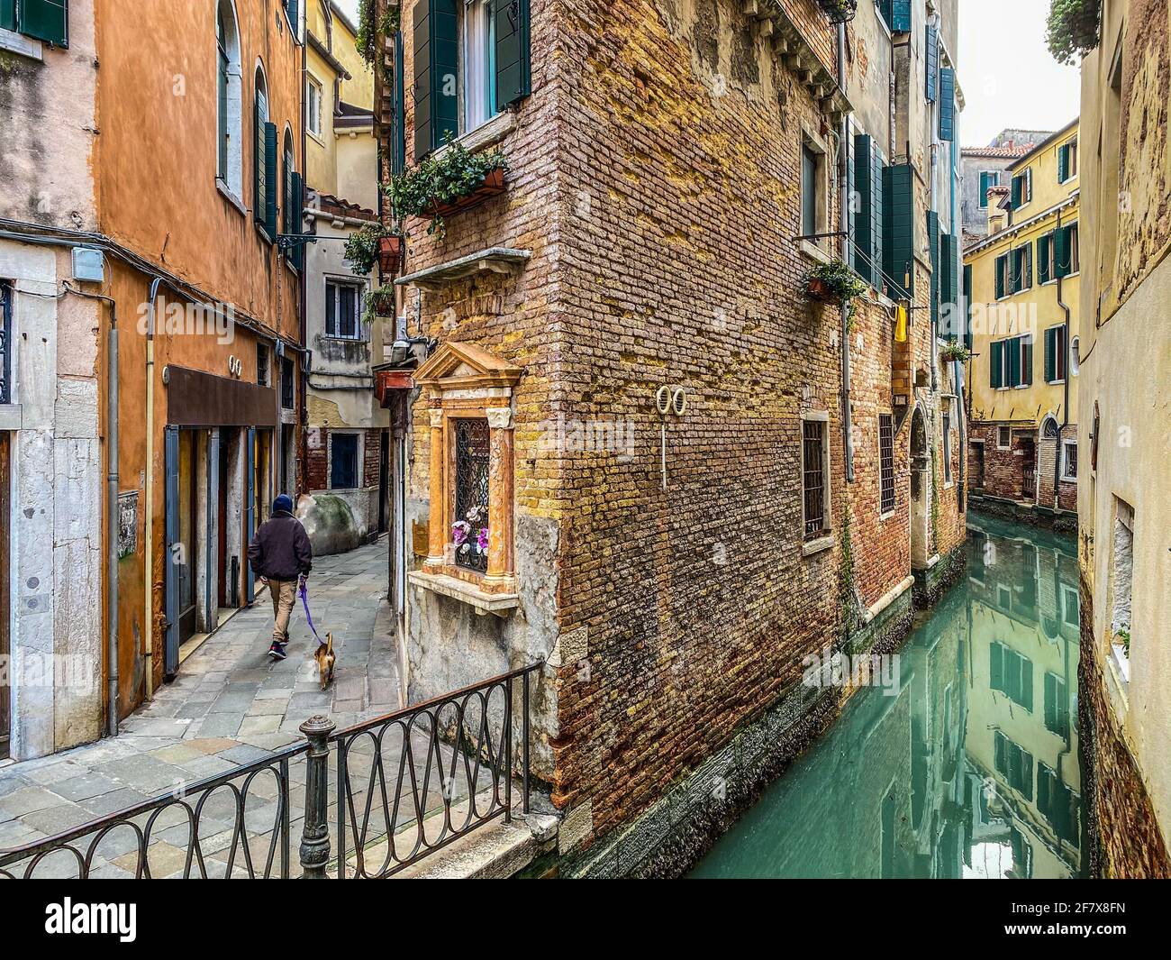 Vista posteriore di persone che camminano un cane a Venezia via Foto Stock