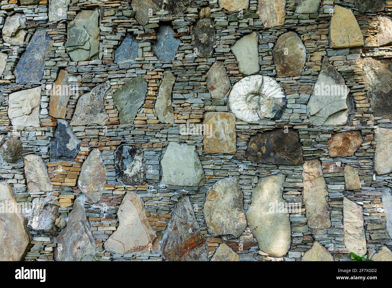 Vista del muro di vecchie pietre con elementi rocciosi e Ammonite. Texture in tonalità blu. Sfondo in stile grunge o paese. Foto Stock