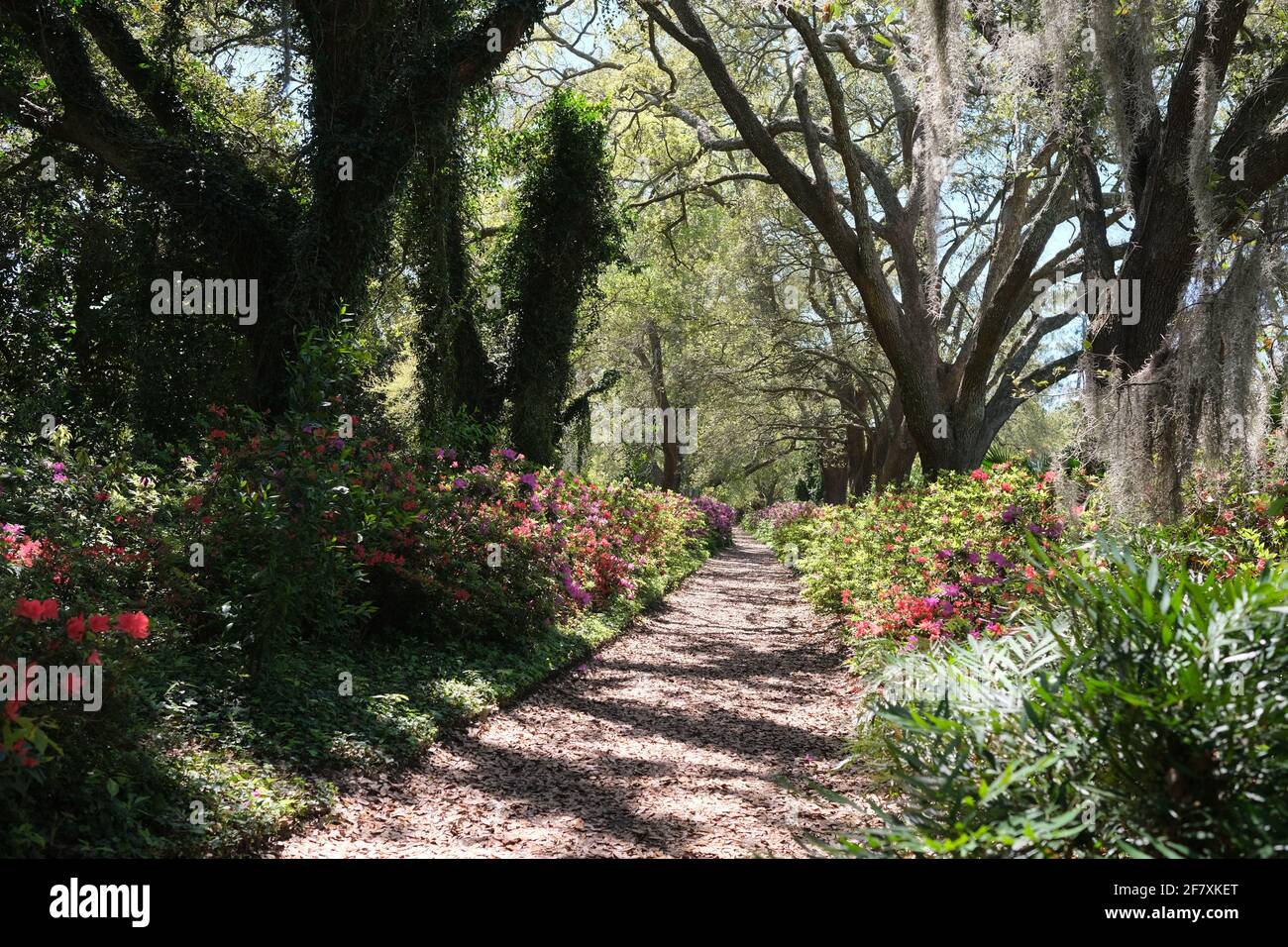 Giardino urbano con i visitatori, animali domestici, costruzione di eventi, cancello d'ingresso, e struttura per la vendita di prodotti Foto Stock