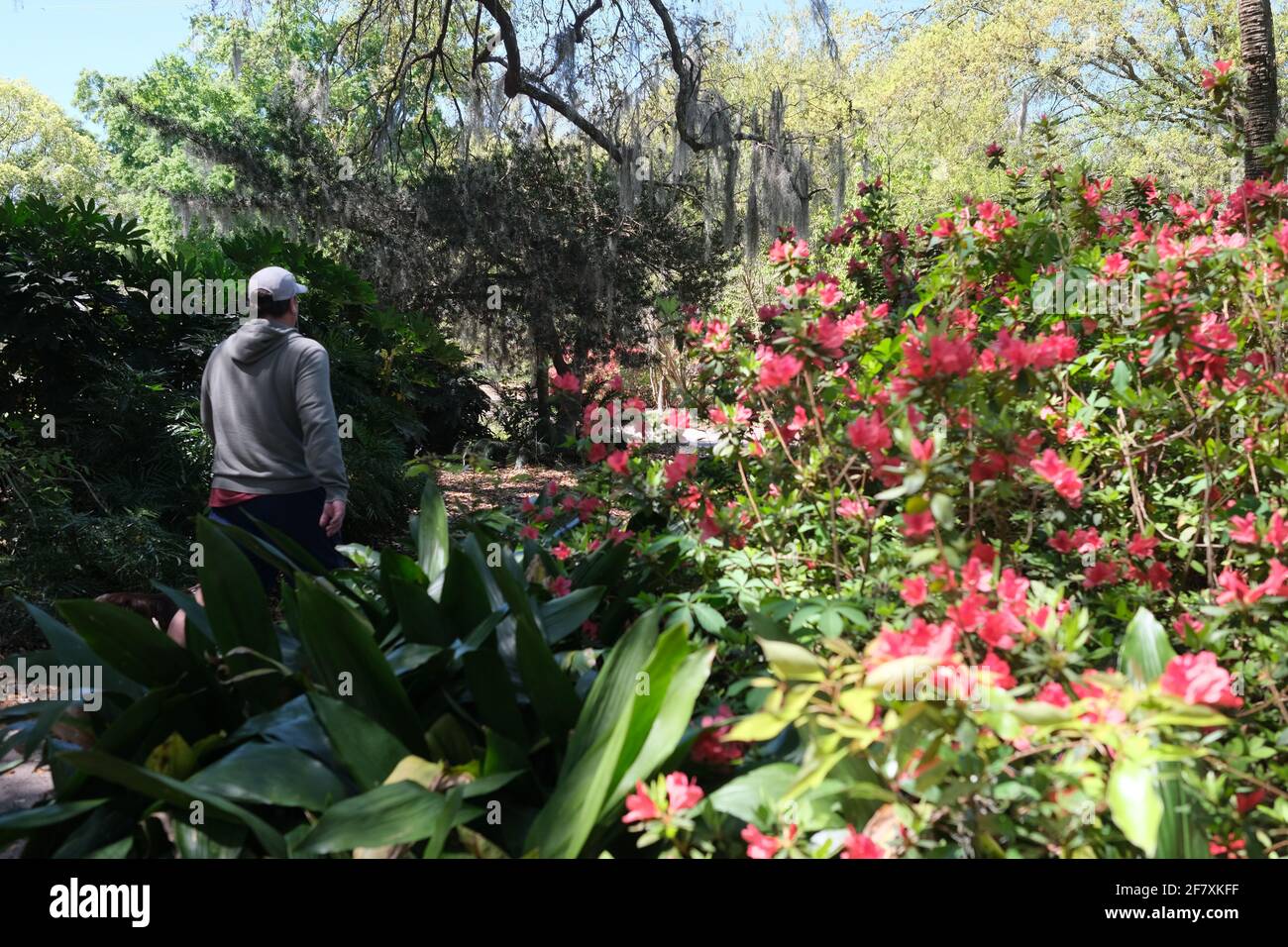 Giardino urbano con i visitatori, animali domestici, costruzione di eventi, cancello d'ingresso, e struttura per la vendita di prodotti Foto Stock