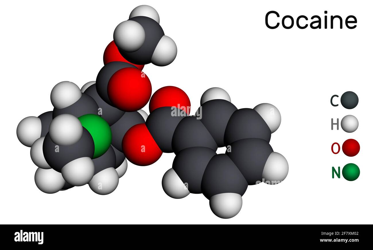 Cocaina, coke, molecola di coca. È alcaloide trobano con i sistemi nervosi centrali che stimolano il SNC, anestetico locale, vasocostrittore. Modello molecolare. Foto Stock