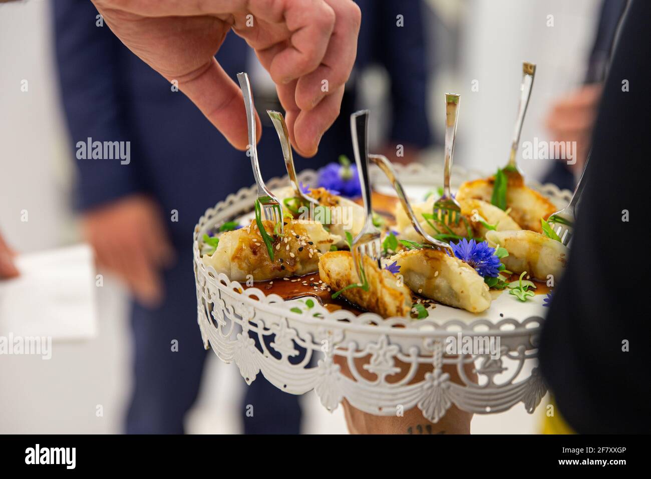 piccole porzioni di cibo su un piatto con una forchetta e una mano che raggiunge per uno Foto Stock
