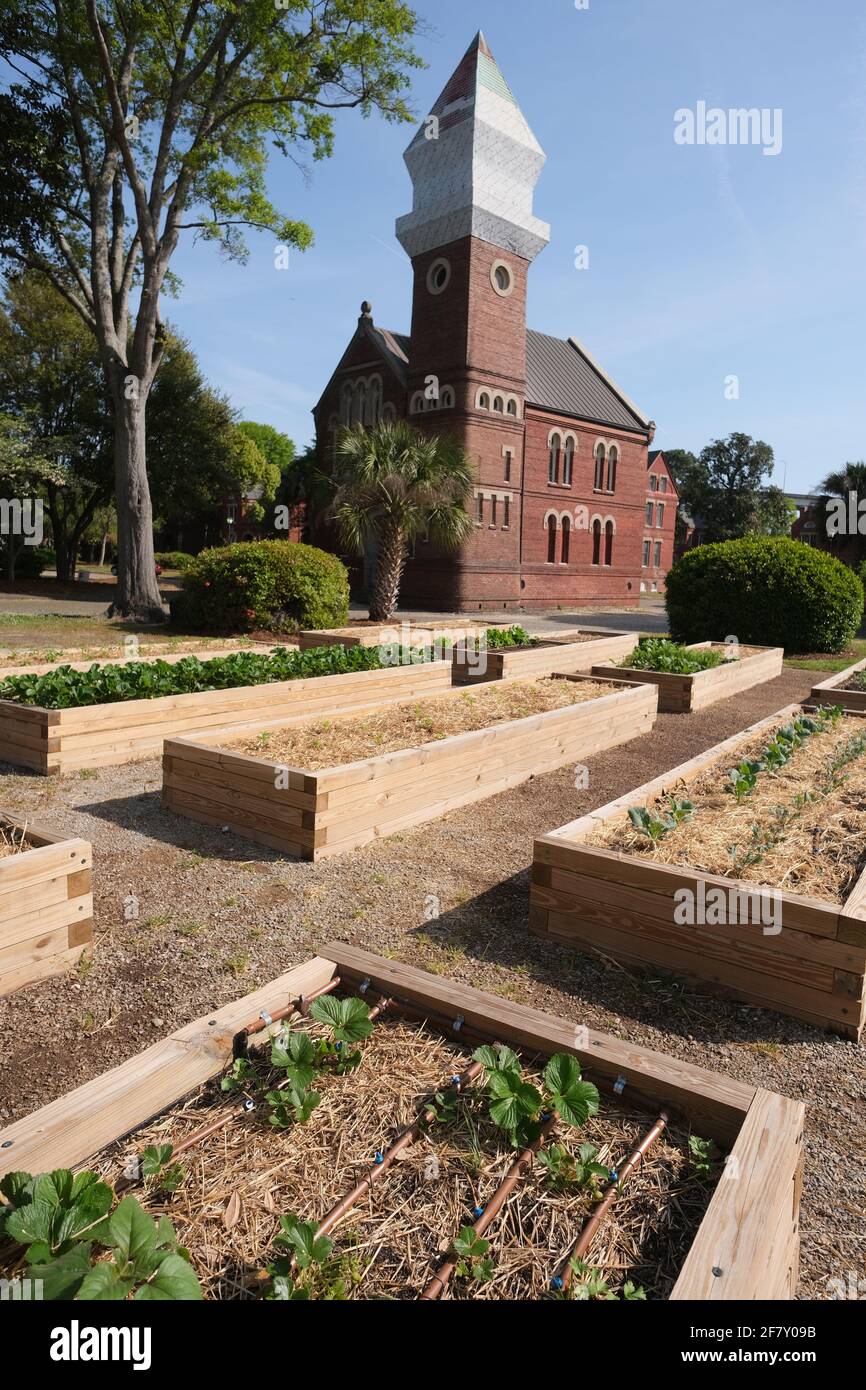 Giardino urbano con i visitatori, animali domestici, costruzione di eventi, cancello d'ingresso, e struttura per la vendita di prodotti Foto Stock