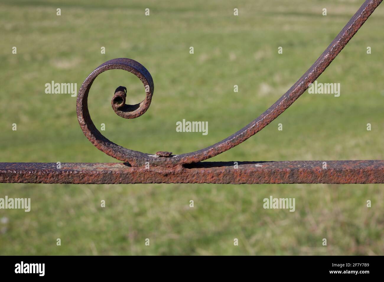 Decorativo arrugginito vecchio metallo scroll su morbido sfondo verde con copyspace Foto Stock