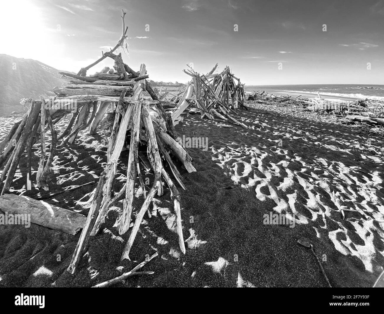 Drift legno arte installazione sulla spiaggia in, Cambria California astratto, California costa centrale. Foto di Jennifer Graylock-Graylock.com Foto Stock