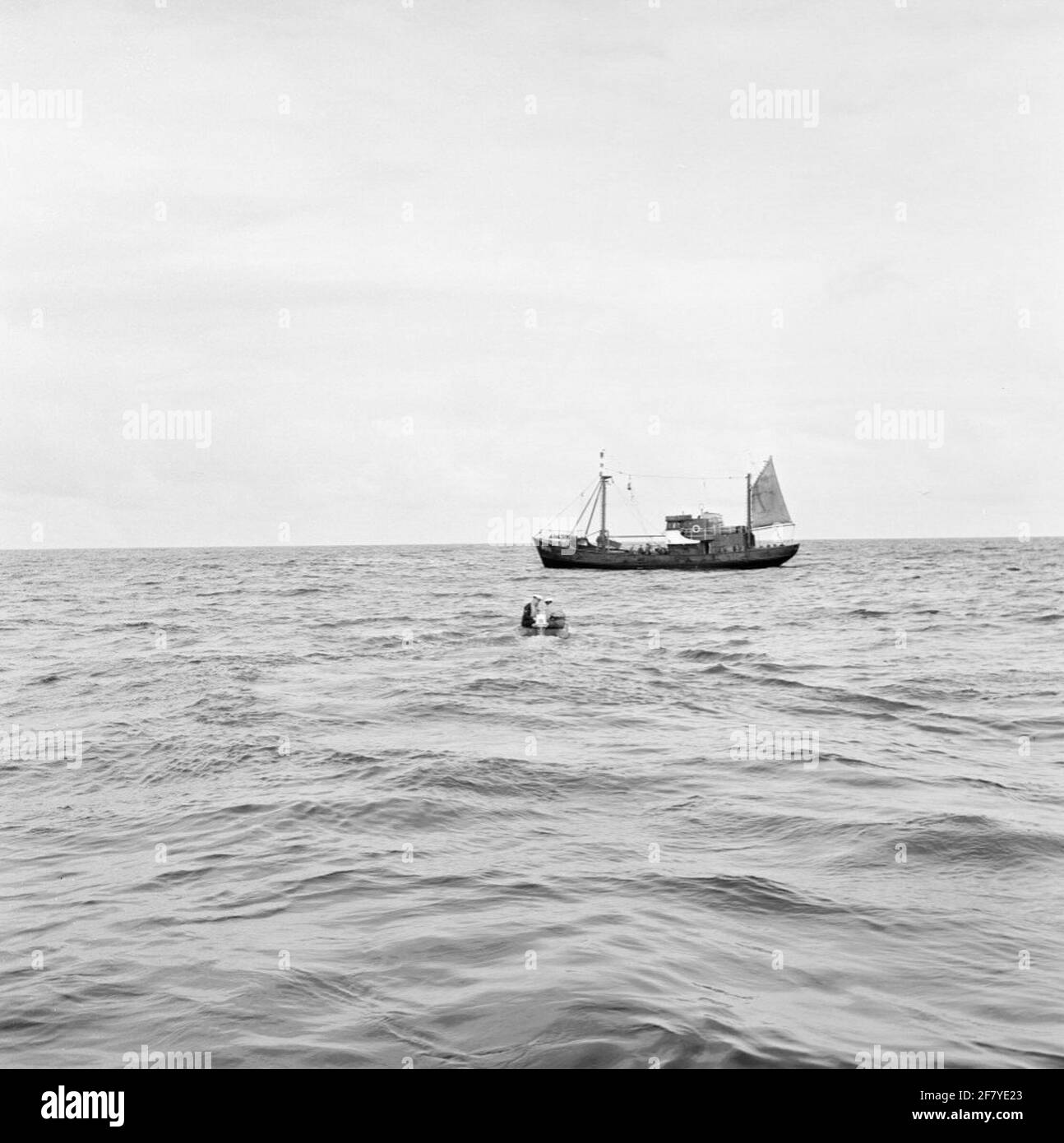 Ispezione della pesca nel Mare del Nord con il fregato della classe predatore HR.MS WOLF (F 817) (1954-1984) (EX-USS PCE 1607). Con il gommone / gommone sulla strada per Wieringen 51 [31]. Foto Stock