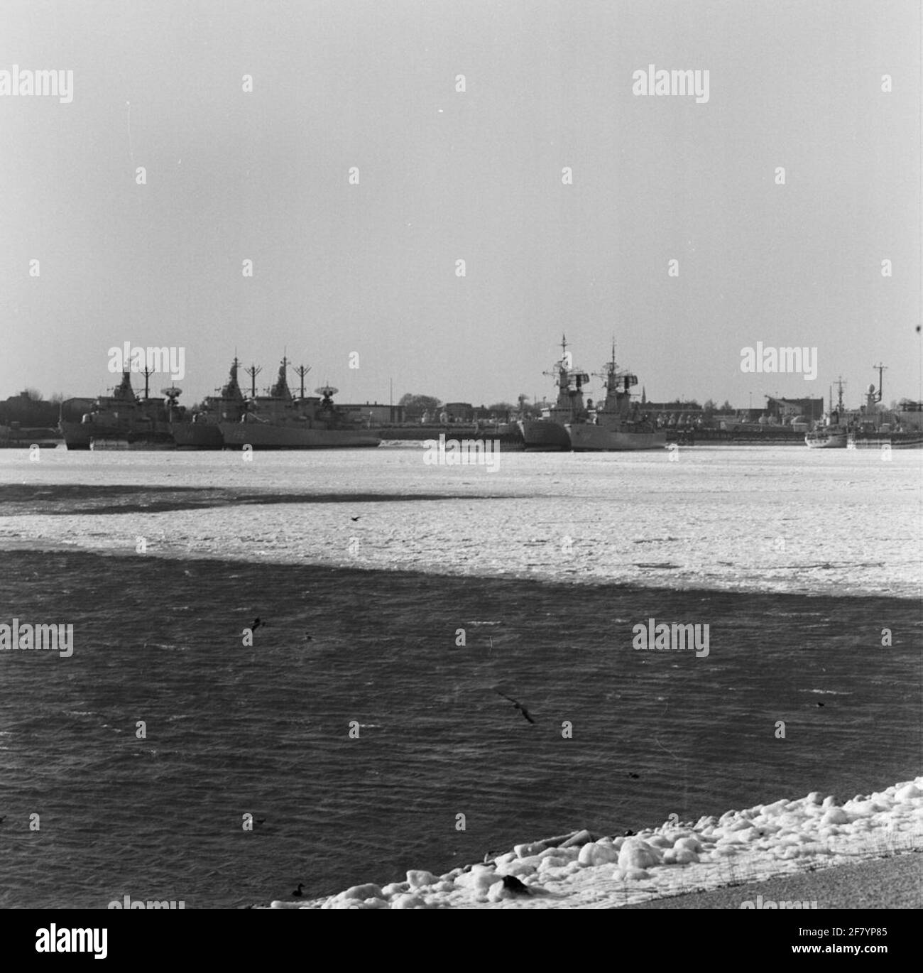 Il nuovo porto di Den Helder inizia a congelarsi. Foto Stock