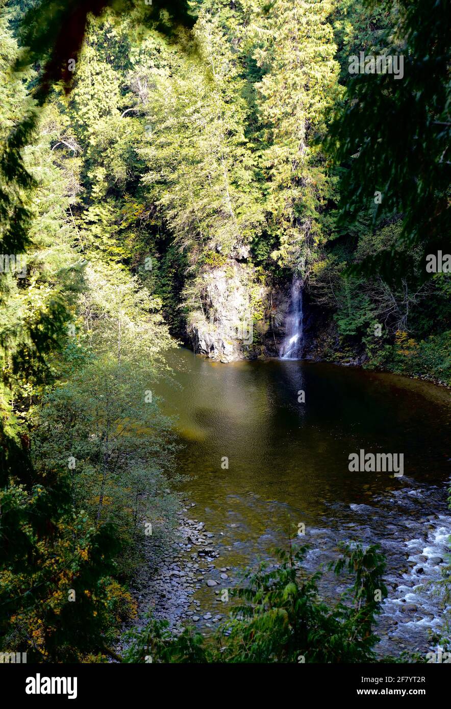 Un piccolo stagno circondato da alberi verdi e piccola cascata, con insenature che scorrono nel Capilano Suspension Bridge Park del Canada. Foto Stock