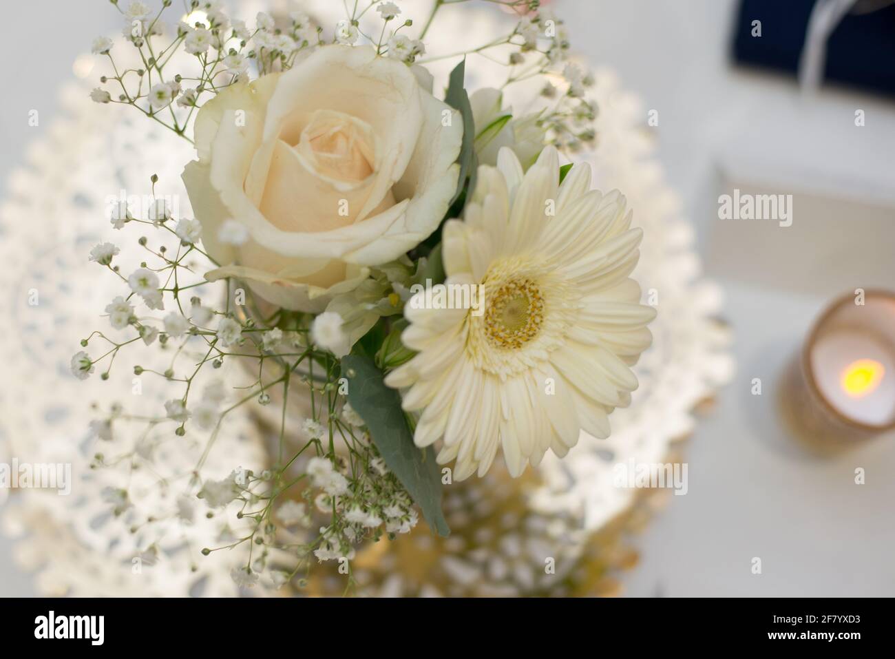 Primo piano di fiori bianchi e ramoscelli in fiore con un sfondo bianco Foto Stock