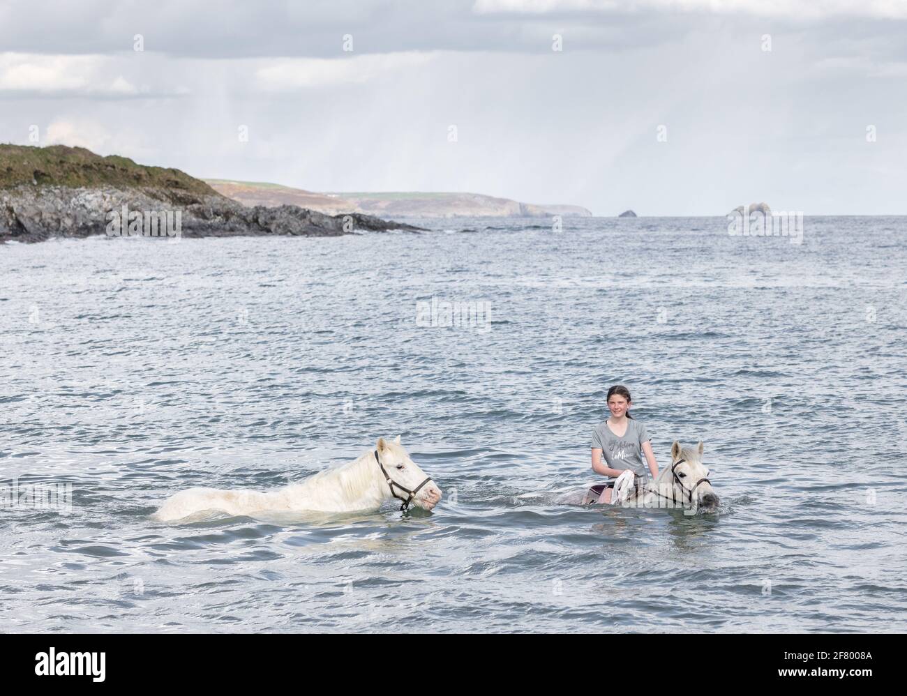 Duneen Beach, Kinsale, Cork, Irlanda. 10 aprile 2021. Rosie Hogan prende i suoi pony di Connemara salvati Milly e Bobby Joe per una nuotata nel mare a Duneen Beach, Co. Cork, Irlanda. - credito; David Creedon / Alamy Live News Foto Stock