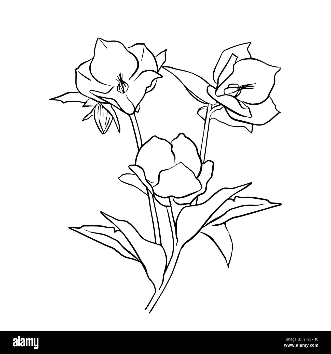 Illustrazione vettoriale del foro di supporto. Stile Doodle. Adatto per la progettazione, la stampa, la decorazione, i tessuti, la carta e le colorazioni. Illustrazione Vettoriale