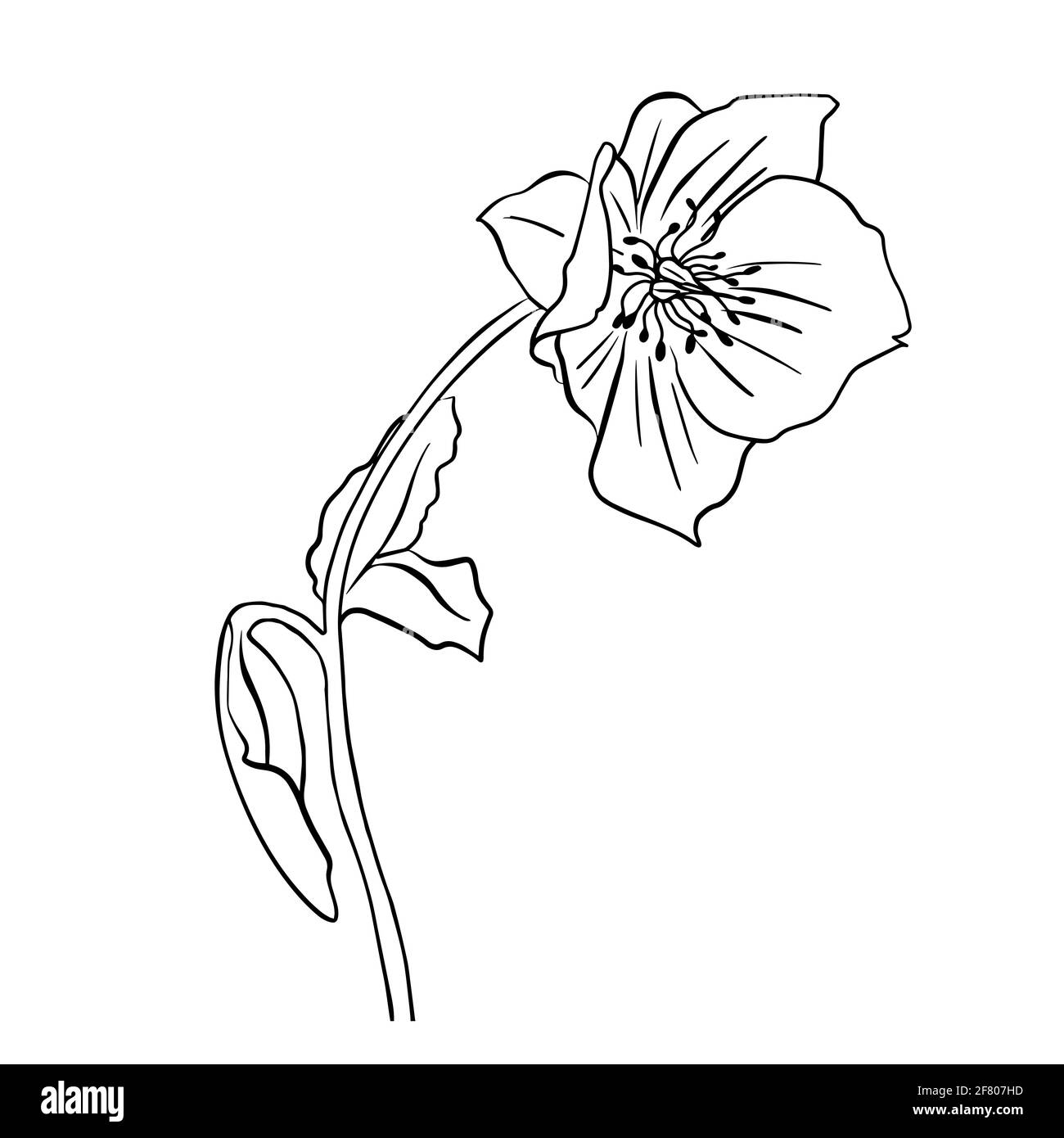 Illustrazione vettoriale del foro di supporto. Stile Doodle. Adatto per la progettazione, la stampa, la decorazione, i tessuti, la carta e le colorazioni. Illustrazione Vettoriale