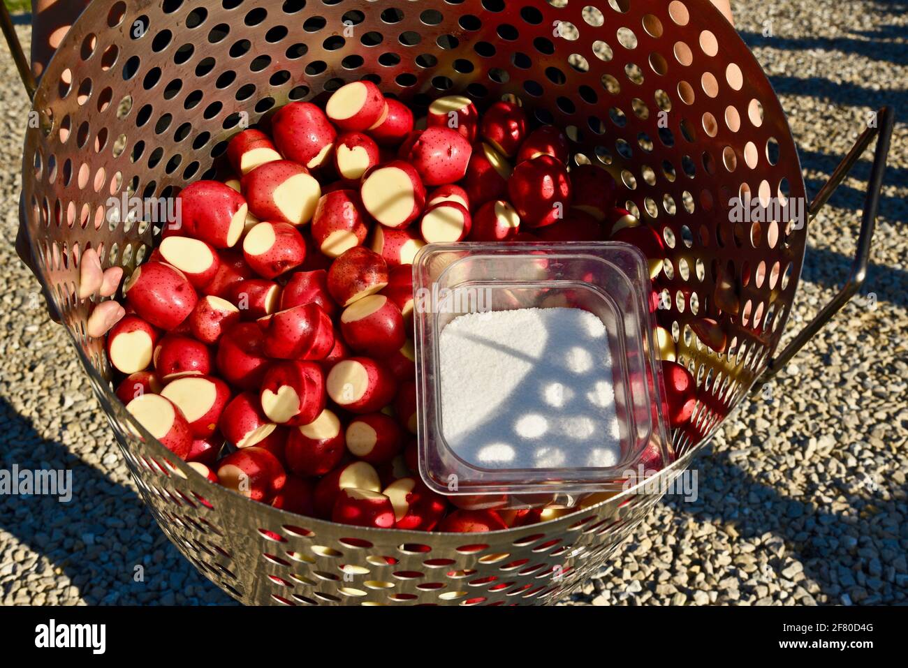 Il pesce tradizionale bollisce con pesce bianco fresco del lago Michigan, patate rosse, cipolle, cherosene finale-destato fuoco da boilmaster, Door County, Wisconsin, USA Foto Stock