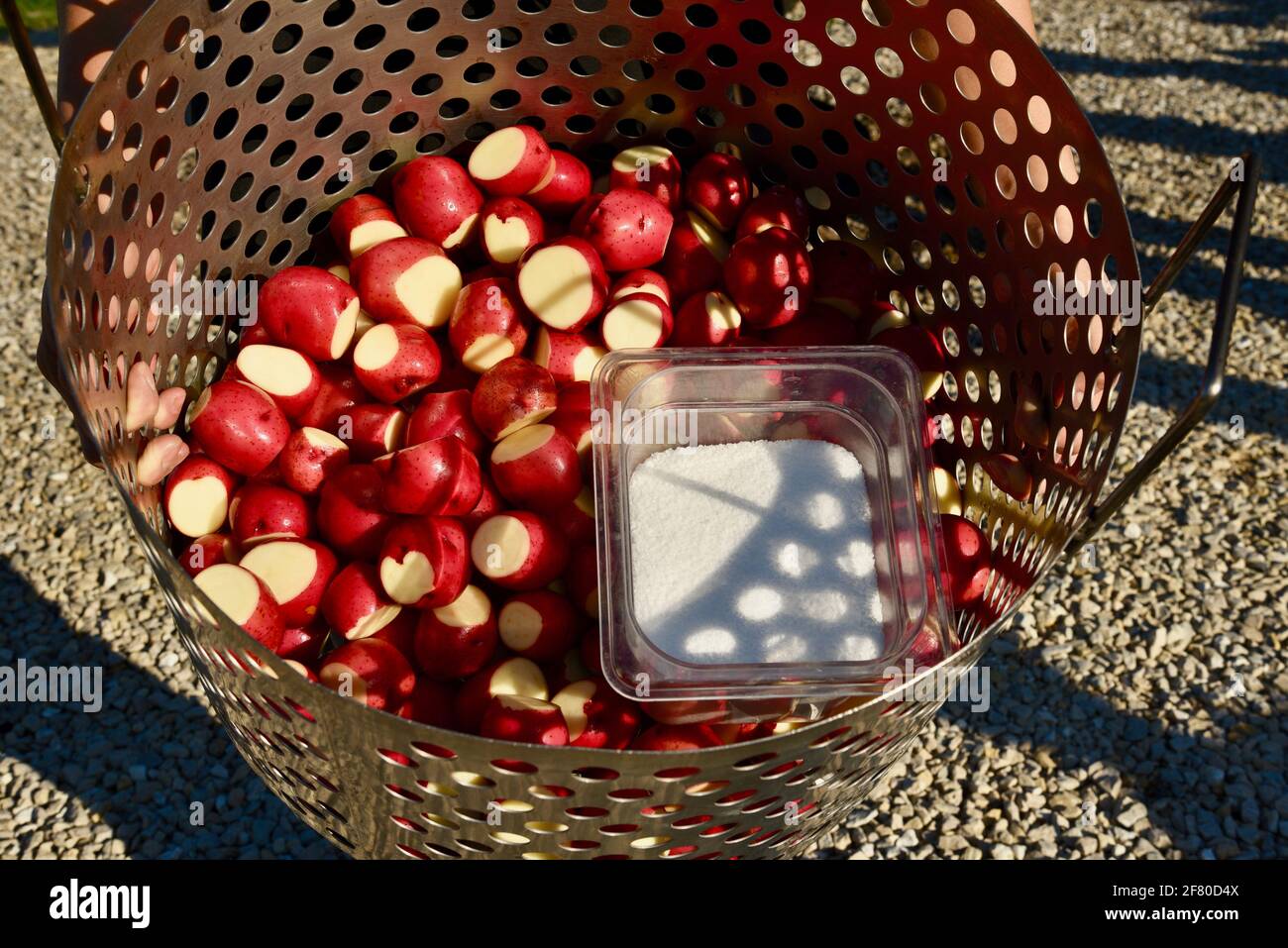 Il pesce tradizionale bollisce con pesce bianco fresco del lago Michigan, patate rosse, cipolle, cherosene finale-destato fuoco da boilmaster, Door County, Wisconsin, USA Foto Stock
