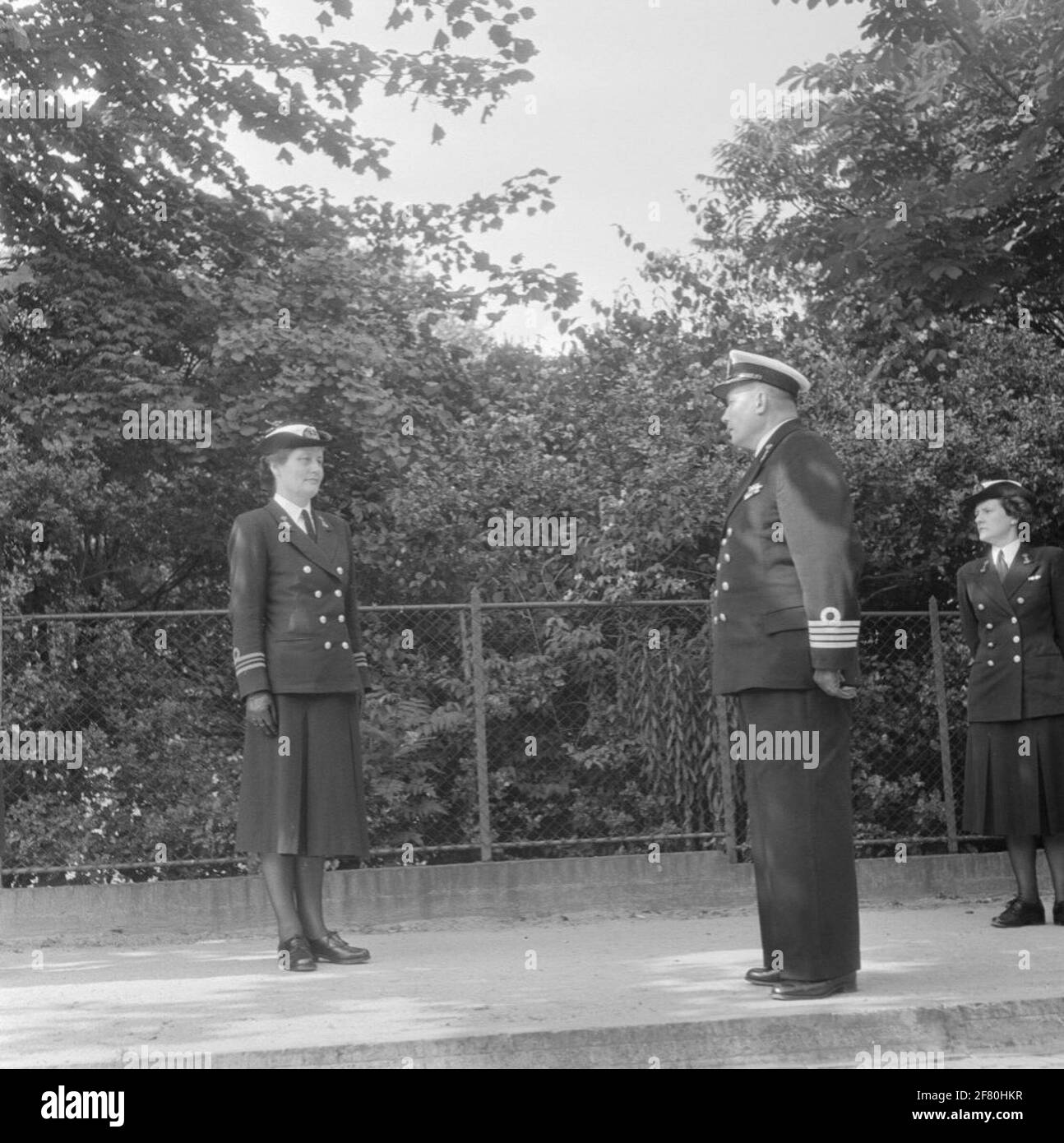 Photo Moment in occasione dell'attaccamento allo chef Marine Women's Department Marva della classe ufficiale Marva der 1e, ad ESEMPIO da Diemen - Mekking (a sinistra). In mezzo è il capo dimissionario del dipartimento delle Donne marine, capitien in mare A.M. Valkenburg. Fa parte della serie di oggetti AVDKM da 530230 a 530232. Foto Stock
