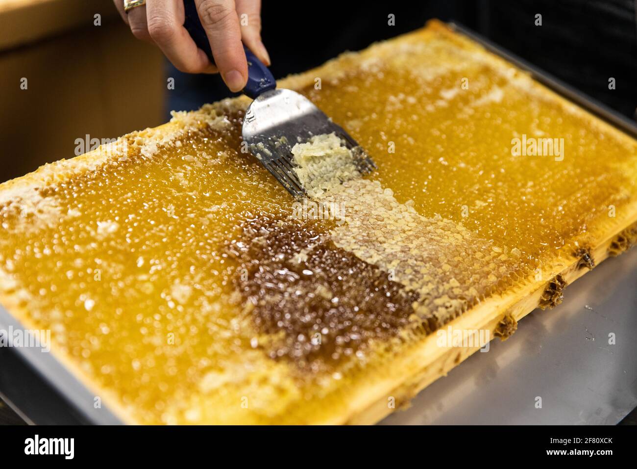 Tenere una spatola in metallo per rimuovere la cera d'api da un'ardesia pieno di miele fresco Foto Stock