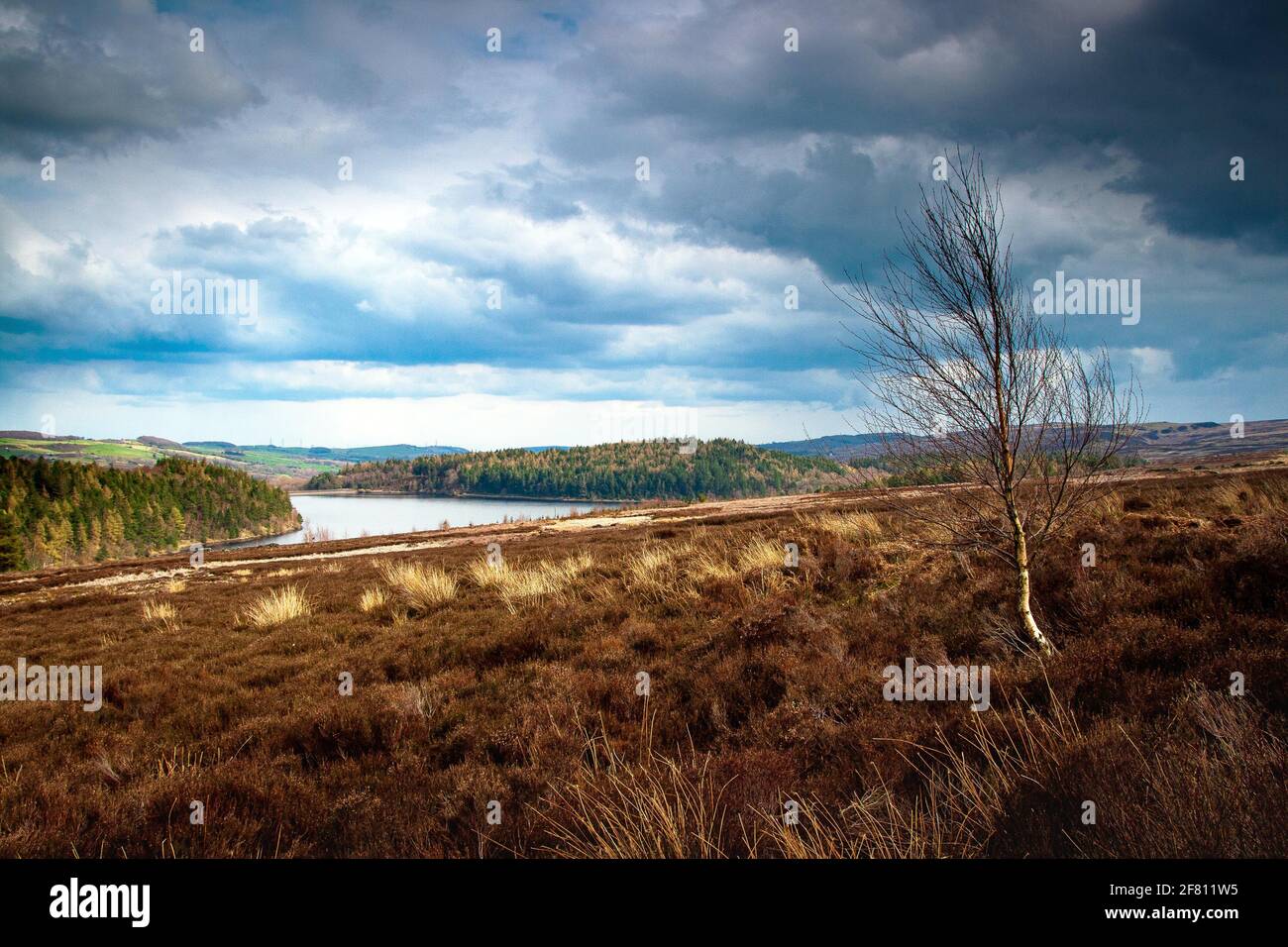 Paesaggi di Underbank Dam nella parrocchia di Bradfield, Sheffield Foto Stock