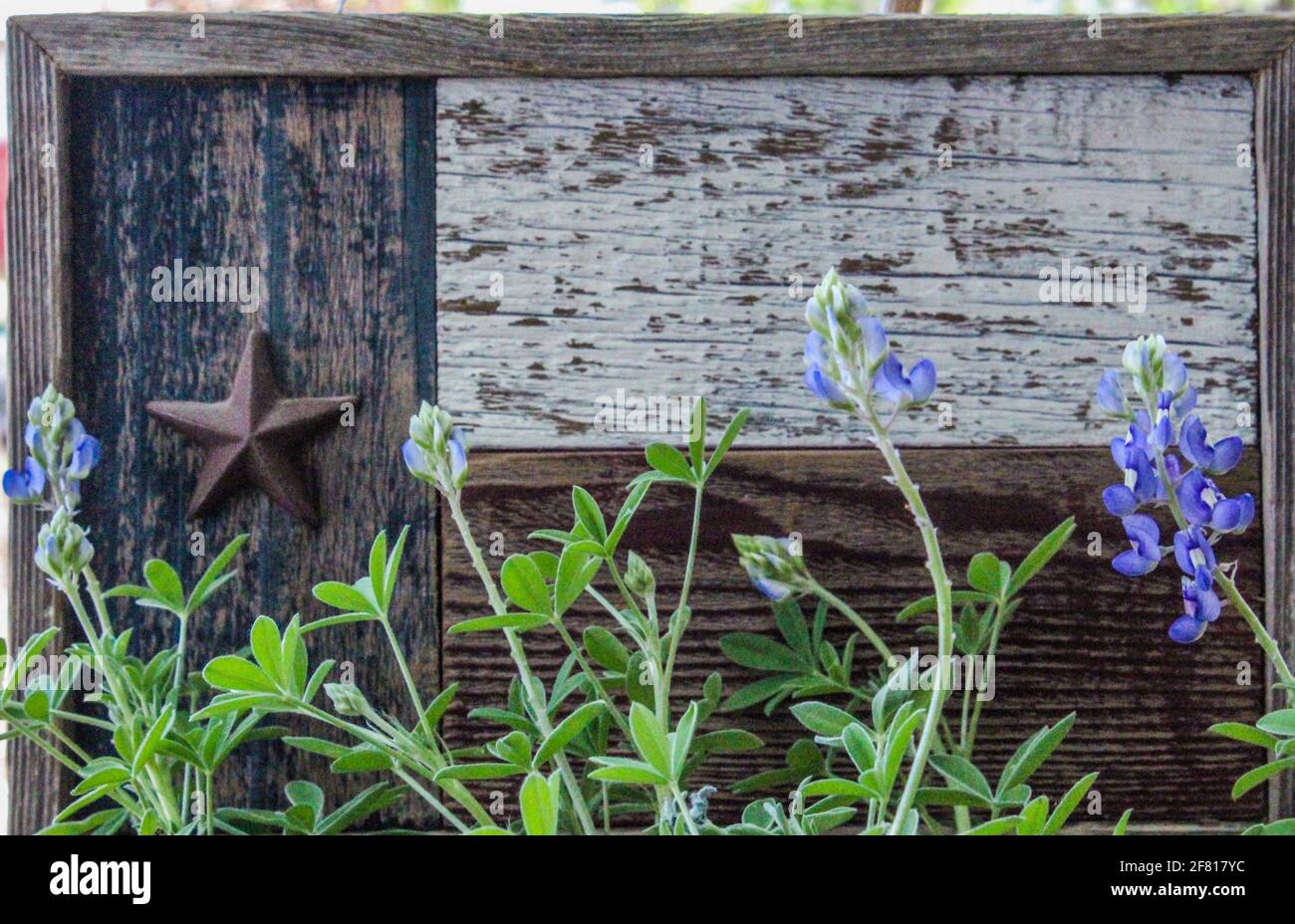 Bandiera del Texas di legno e cofani blu Foto Stock
