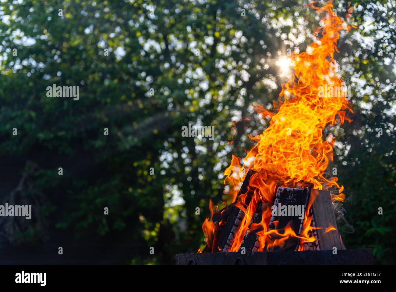 Un grande fuoco fatto di tavole. Legna da ardere in fiamma viva. Falò su sfondo di legno e raggi solari. Foto Stock