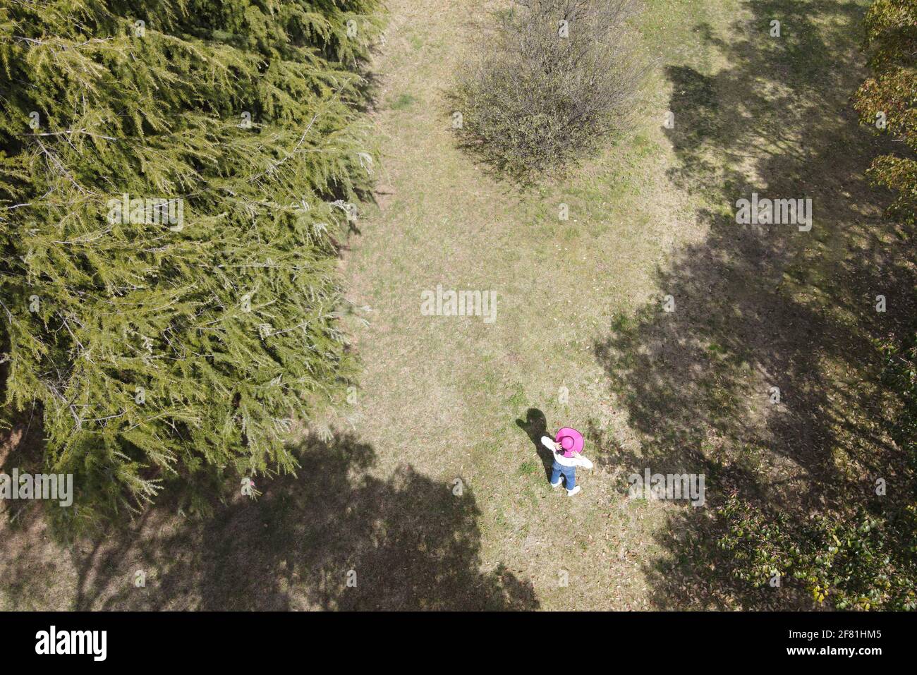Drone aereo vista giù di giovane donna con paglia rosa cappello nella foresta in Giappone Foto Stock