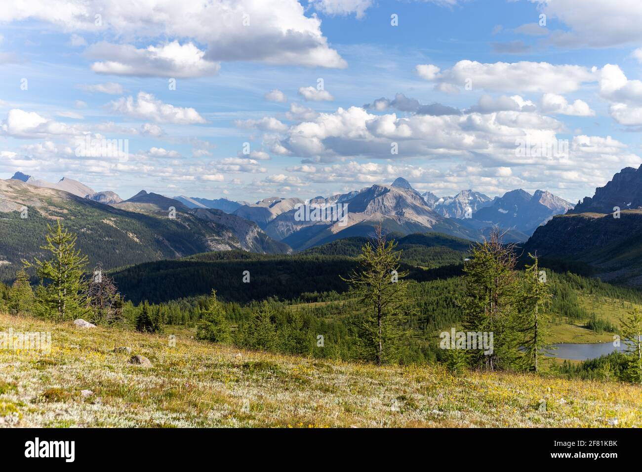 valle in montagna nel backcountry in estate giorno Foto Stock