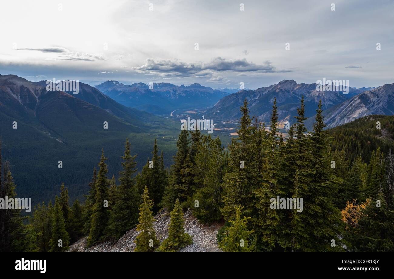 vista alta di una valle piena di alti alberi di pino in montagna in una giornata di lavoro Foto Stock