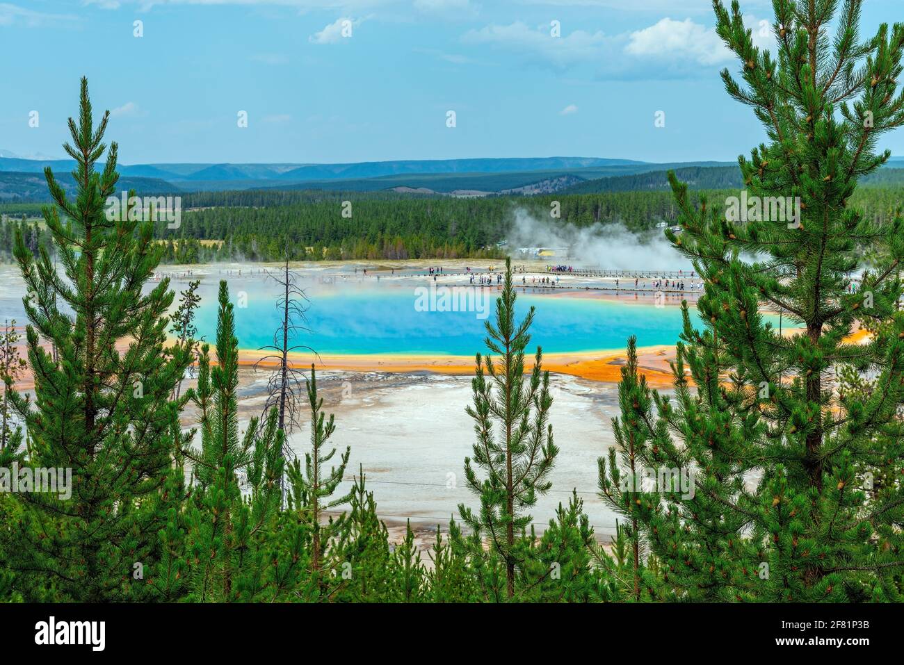 Grand Prismatic Spring, Midway Norris Geyser Basin, Yellowstone National Park, Wyoming, USA. Foto Stock