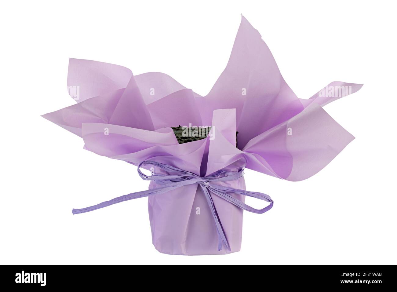 Oasis stand per un bouquet avvolto in carta da imballaggio. Spugna floreale. Concetto di vacanza. Il file contiene il percorso di ritaglio. Foto Stock