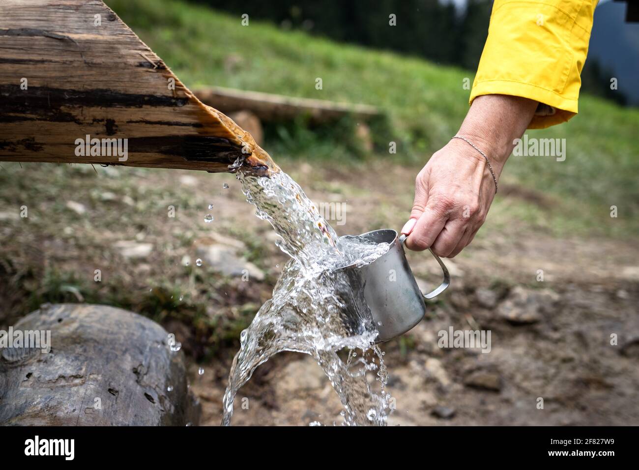 La mano sta versando l'acqua di sorgente nella tazza sulle montagne. Rinfresco durante escursioni in natura Foto Stock