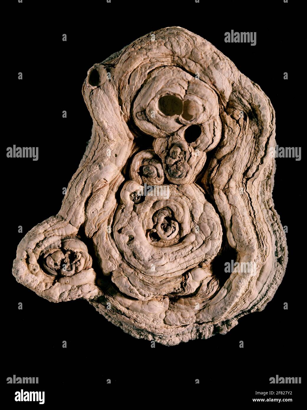 MINERAL-CUARZO CRIPTOCRISTALINO - CRISOPRASA - TIPO CALCEDONIA. Location: COLLEZIONE PRIVATA. MADRID. SPAGNA. Foto Stock