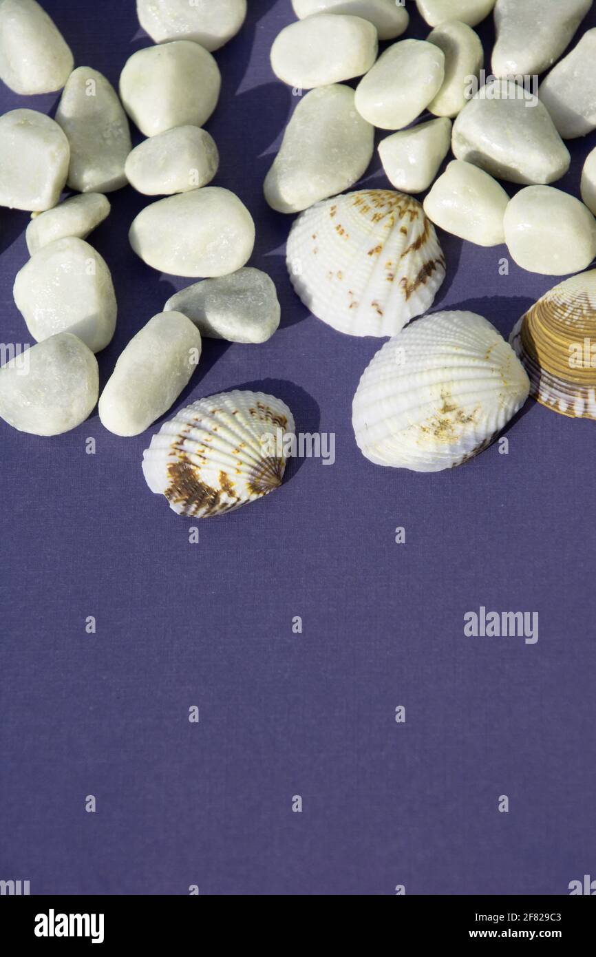 concetto di vacanza estiva soleggiato con pietre bianche e conchiglie al sole Foto Stock