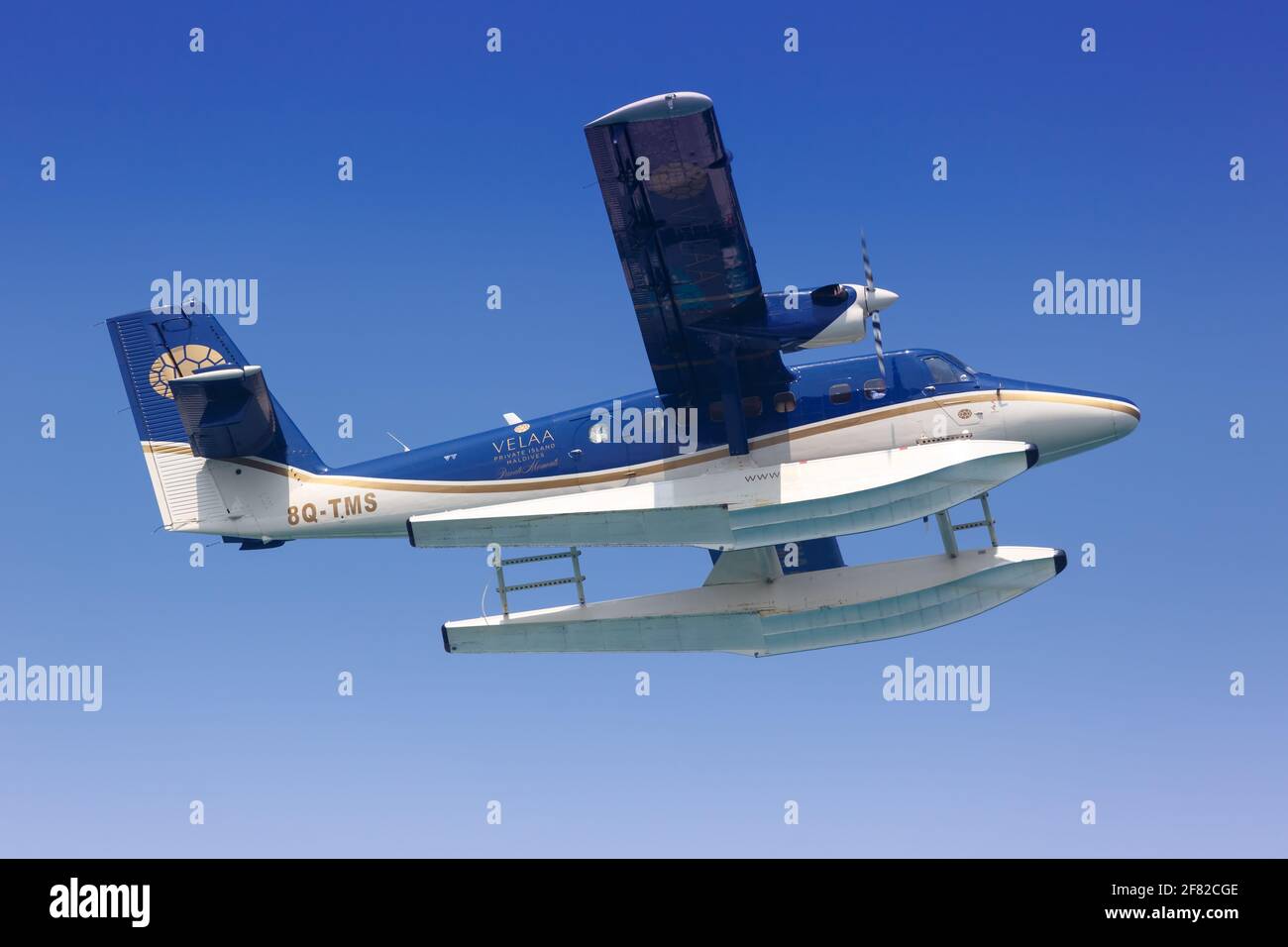 Male, Maldive – 18 febbraio 2018: TMA - Trans Maldivian Airways De Havilland Canada DHC-6-300 Twin Otter idrovolante a Male aeroporto (MLE) nel MALDI Foto Stock