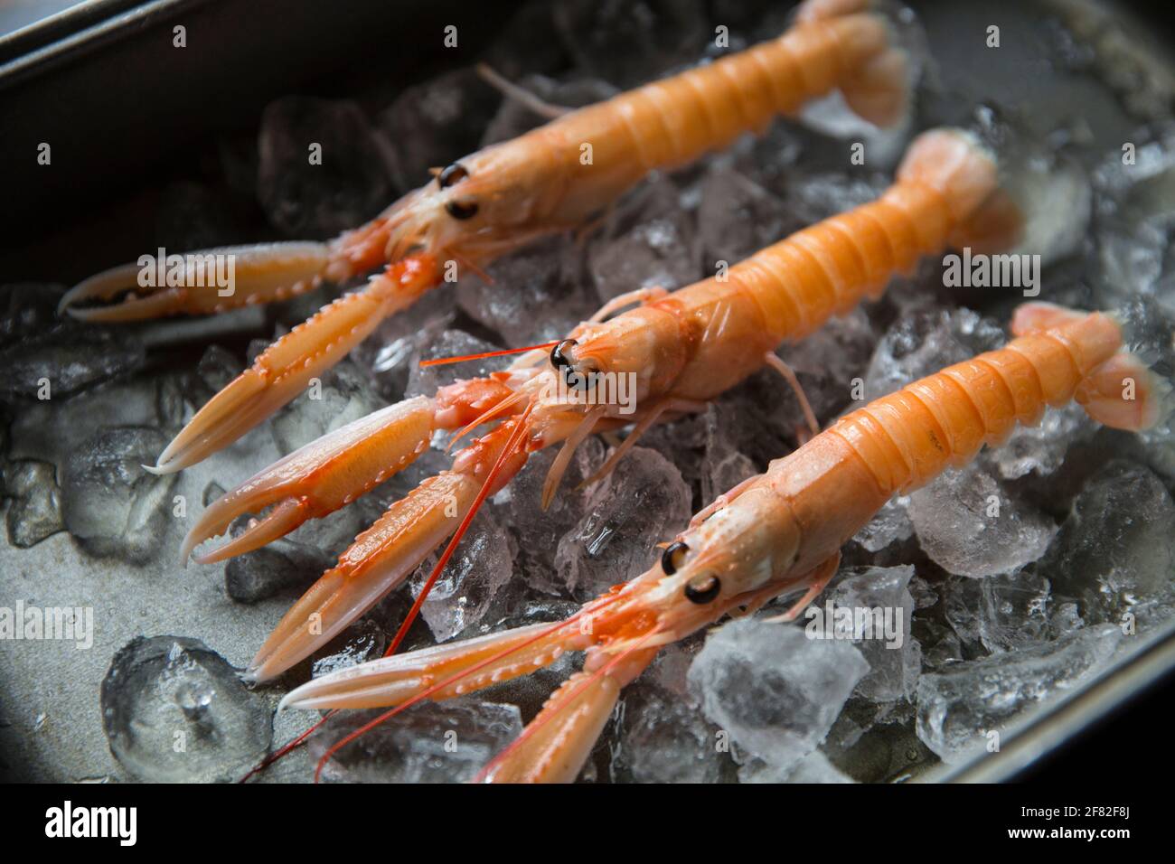 Le langostine crude, o gamberi della baia di Dublino, Nefrops norvegicus, che sono stati catturati nell'Atlantico nordorientale che sono stati acquistati da un supermercato in t Foto Stock