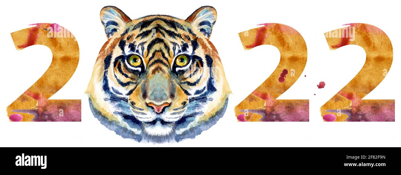 Numero di acquerello anno nuovo 2022 con testa tigre isolata lo sfondo bianco Foto Stock