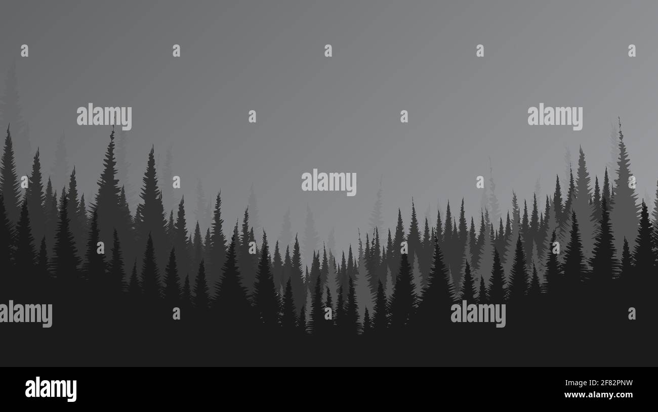 Vector Black e White Pine Forest paesaggio, nebbia e nebbia concept design. Illustrazione Vettoriale